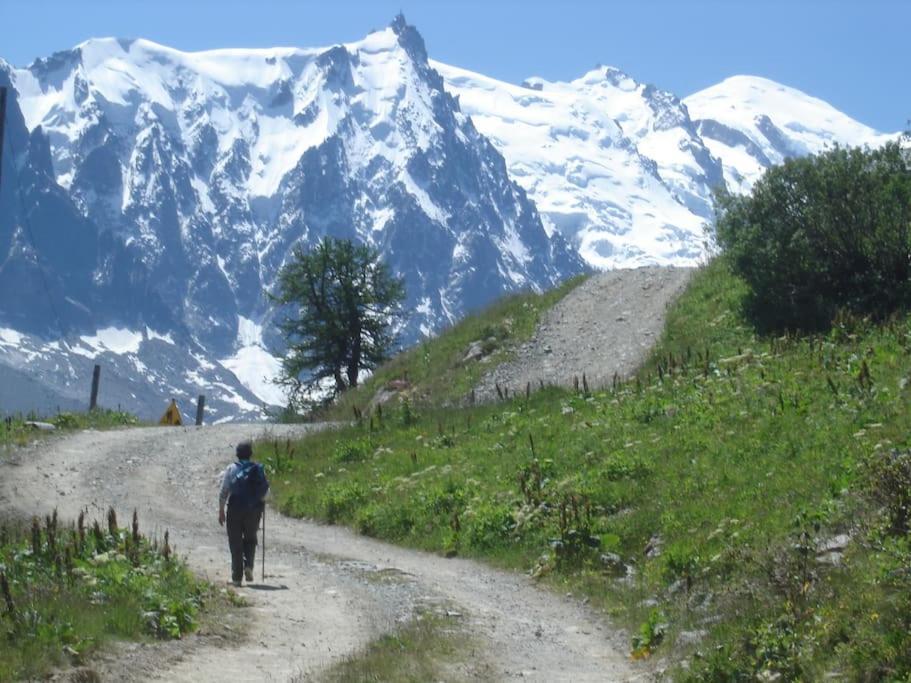Appartement Au Pays Du Mont-Blanc Sallanches Luaran gambar