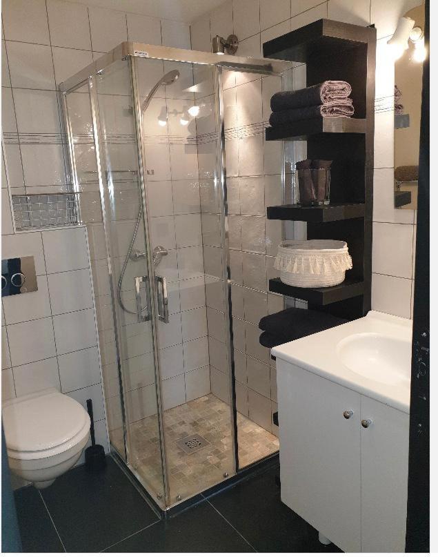 Appartement Au Pays Du Mont-Blanc Sallanches Luaran gambar